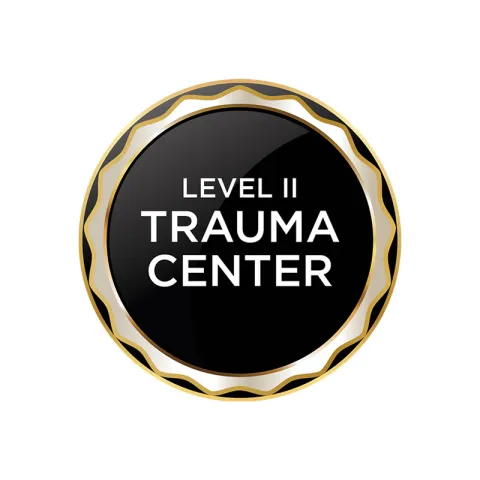 State of Illinois Accredited Level 2 Trauma Centers